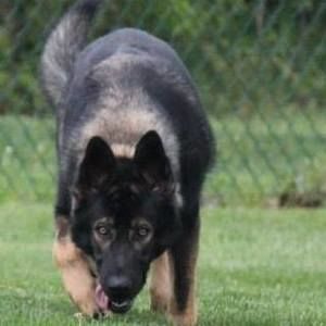 Meet your Posher, Randy